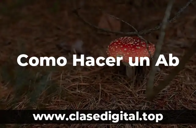 Como Hacer un Ab