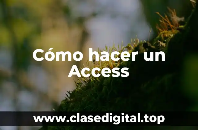 Cómo hacer un Access