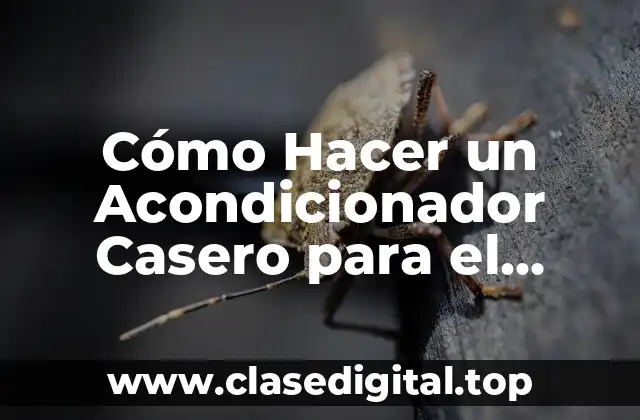 Cómo Hacer un Acondicionador Casero para el Cabello