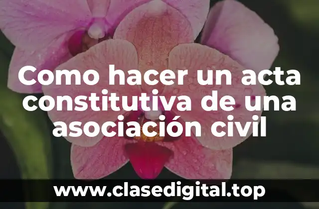 Como hacer un acta constitutiva de una asociación civil