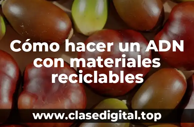 Cómo hacer un ADN con materiales reciclables