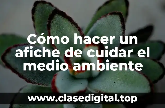 Cómo hacer un afiche de cuidar el medio ambiente