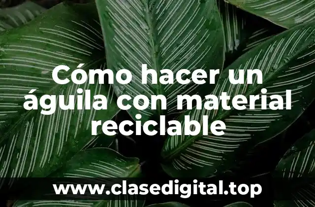 Cómo hacer un águila con material reciclable
