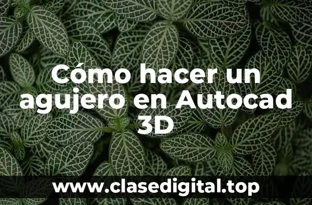 Cómo hacer un agujero en Autocad 3D