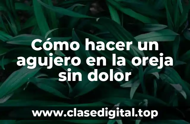 Cómo hacer un agujero en la oreja sin dolor