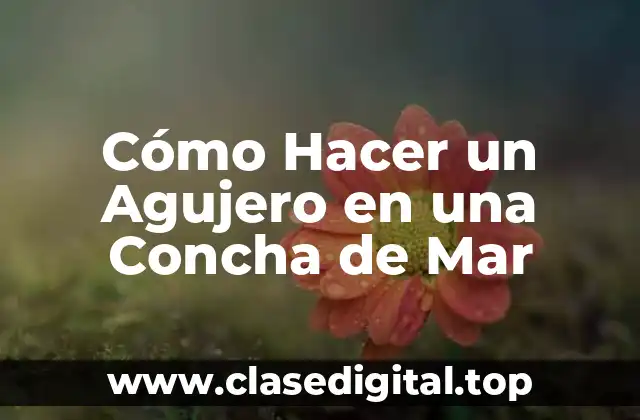 Cómo Hacer un Agujero en una Concha de Mar