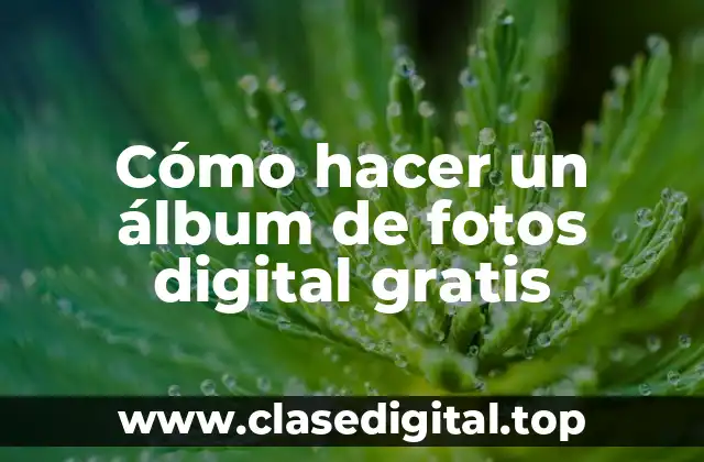 ¿Qué es un álbum de fotos digital?