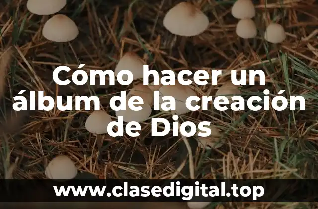 ¿Qué es un álbum de la creación de Dios?
