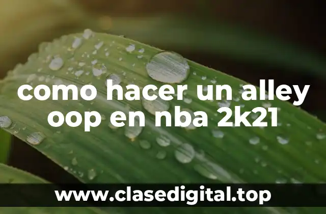 como hacer un alley oop en nba 2k21