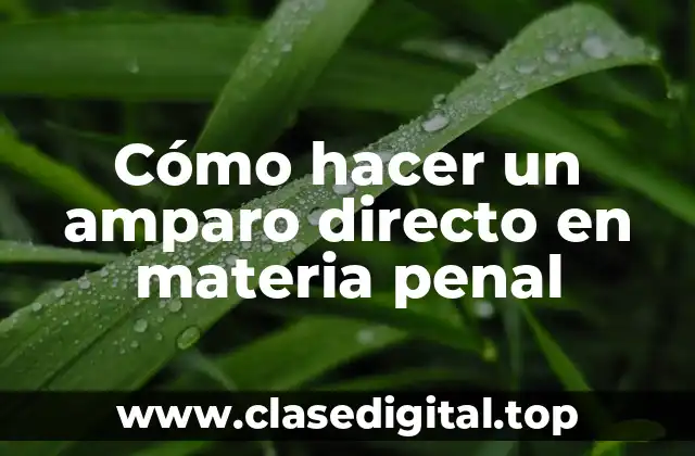 Cómo hacer un amparo directo en materia penal