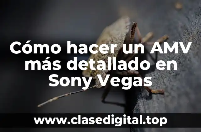 ¿Qué es un AMV y para qué sirve en Sony Vegas?