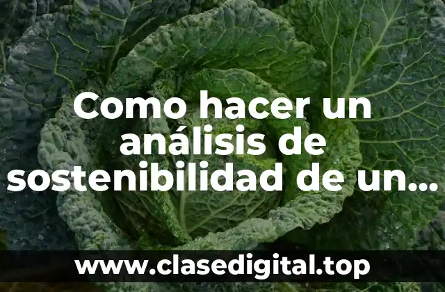 Como hacer un análisis de sostenibilidad de un proyecto