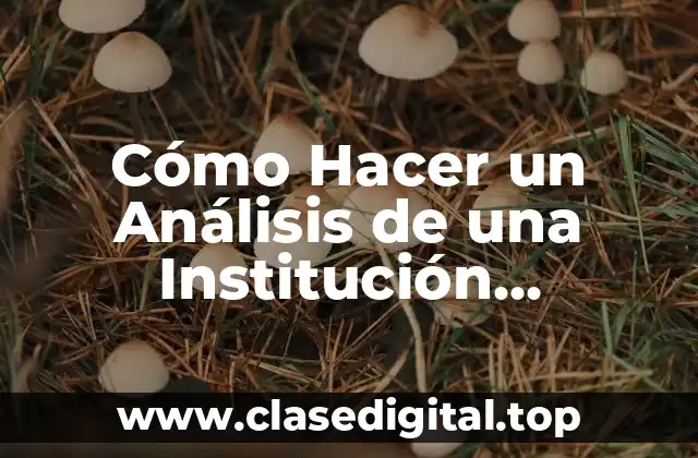 Cómo Hacer un Análisis de una Institución Educativa