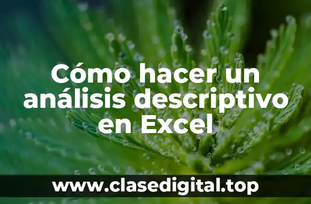 Cómo hacer un análisis descriptivo en Excel