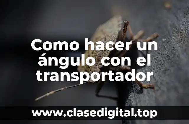 Como hacer un ángulo con el transportador
