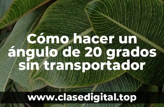 Cómo hacer un ángulo de 20 grados sin transportador