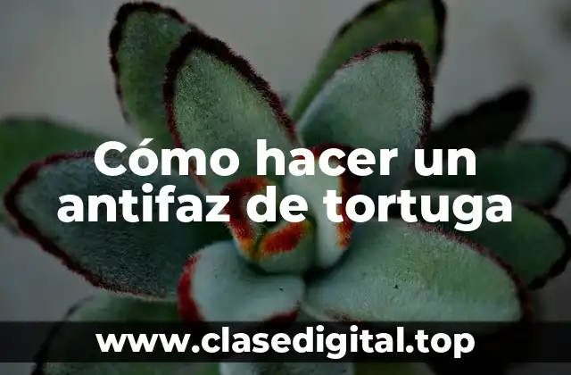 Cómo hacer un antifaz de tortuga