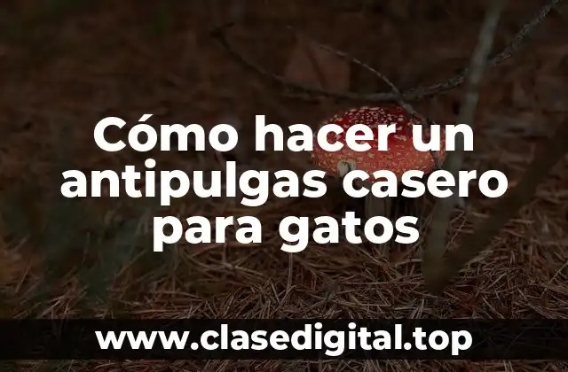 Cómo hacer un antipulgas casero para gatos