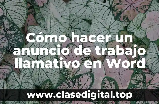 Qué es un anuncio de trabajo llamativo en Word