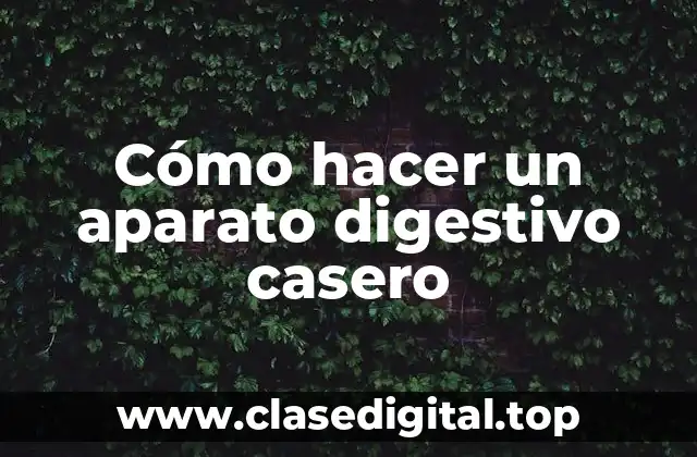 Cómo hacer un aparato digestivo casero