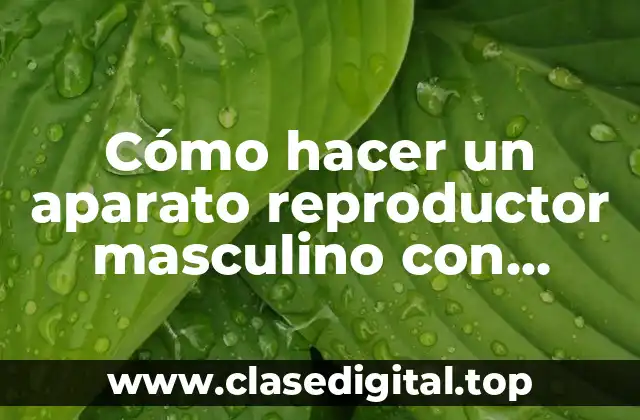 Cómo hacer un aparato reproductor masculino con plastilina