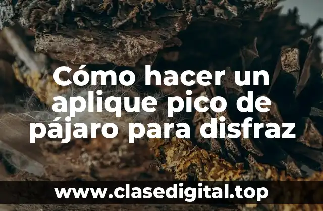 Cómo hacer un aplique pico de pájaro para disfraz