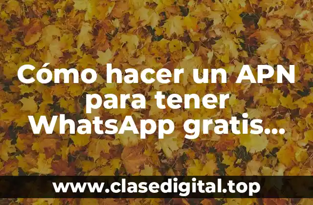 Cómo hacer un APN para tener WhatsApp gratis ilimitado