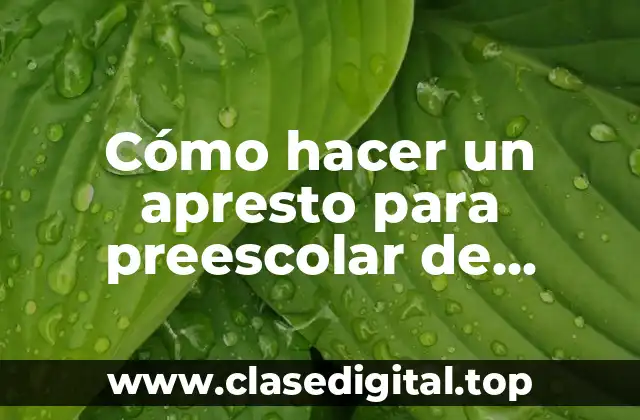 Cómo hacer un apresto para preescolar de español