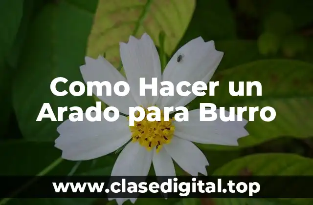 Como Hacer un Arado para Burro