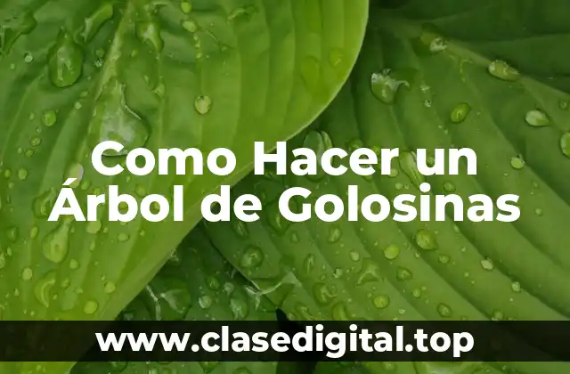 Como Hacer un Árbol de Golosinas