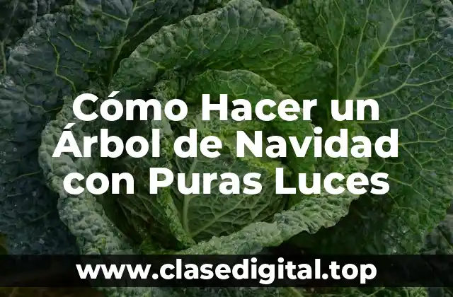 ¿Qué es un Árbol de Navidad con Puras Luces?