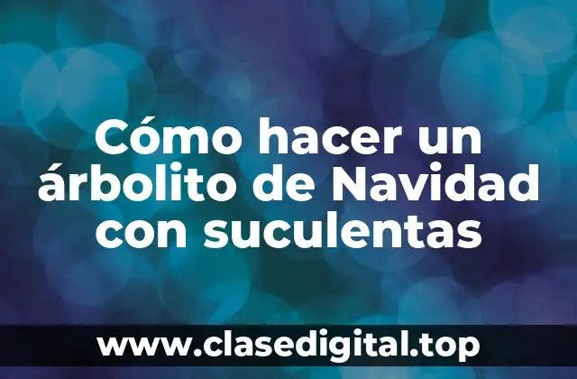 Cómo hacer un árbolito de Navidad con suculentas