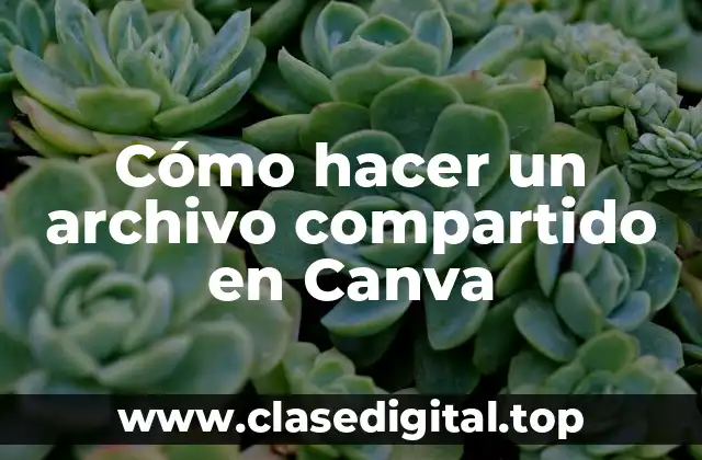 Cómo hacer un archivo compartido en Canva