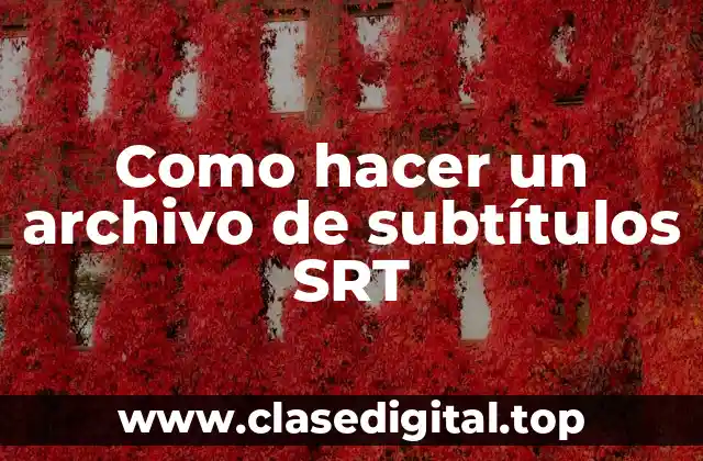Como hacer un archivo de subtítulos SRT