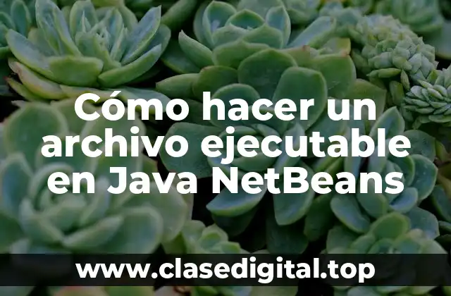 Cómo hacer un archivo ejecutable en Java NetBeans