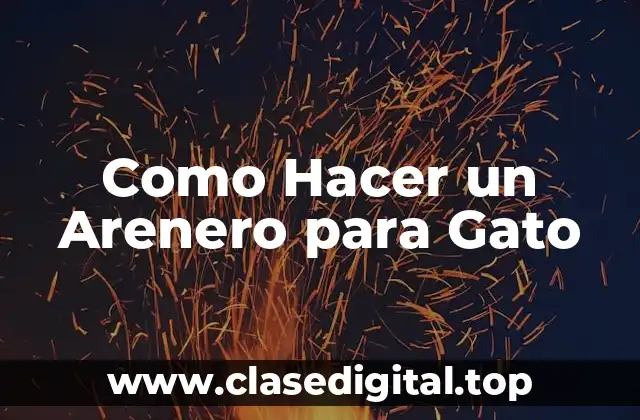 Como Hacer un Arenero para Gato