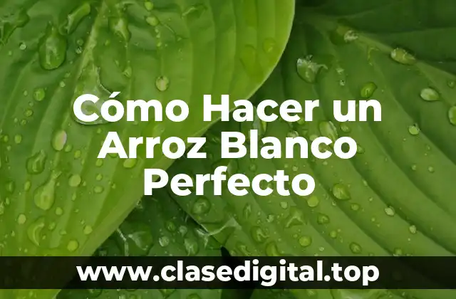 Cómo Hacer un Arroz Blanco Perfecto
