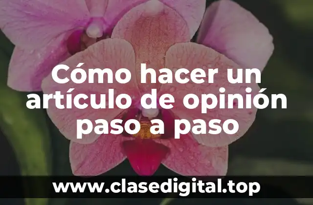 Cómo hacer un artículo de opinión paso a paso