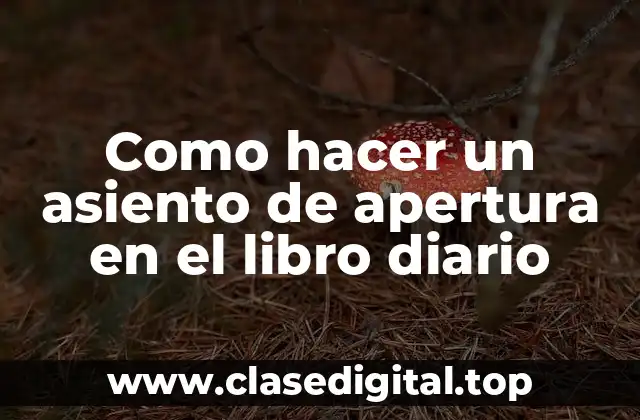 ¿Qué es un asiento de apertura en el libro diario?