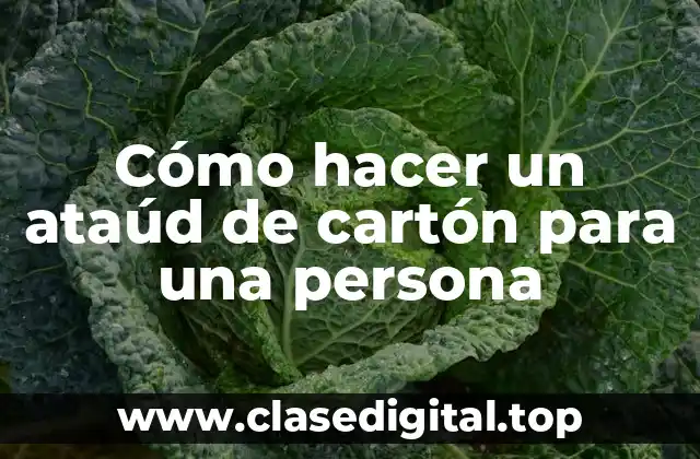 Cómo hacer un ataúd de cartón para una persona
