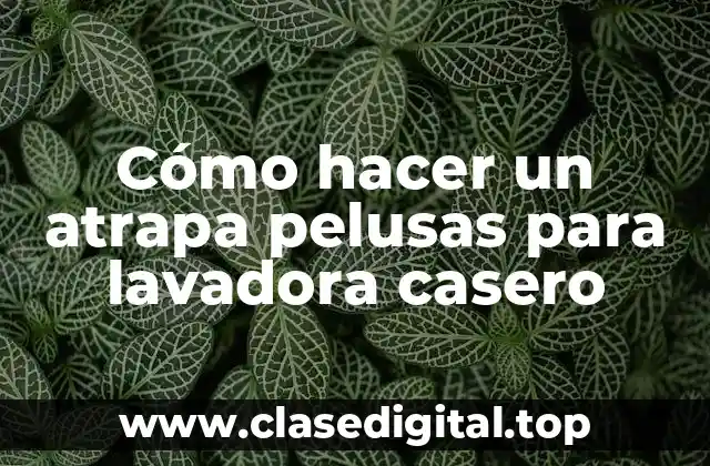 ¿Qué es un atrapa pelusas para lavadora casero y cómo funciona?