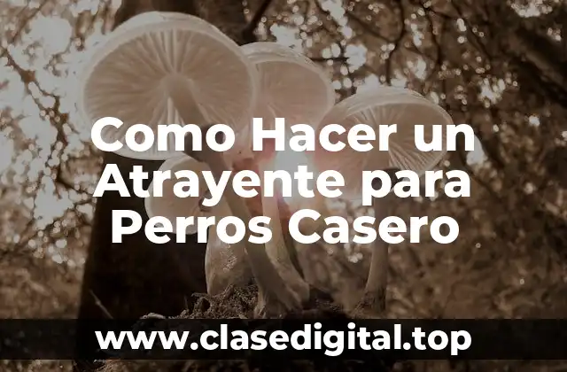 Como Hacer un Atrayente para Perros Casero