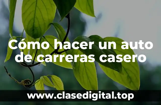 ¿Qué es un auto de carreras casero?