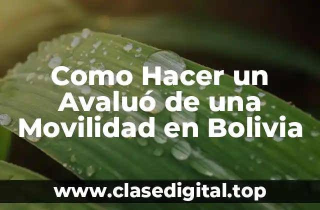 Como Hacer un Avaluó de una Movilidad en Bolivia