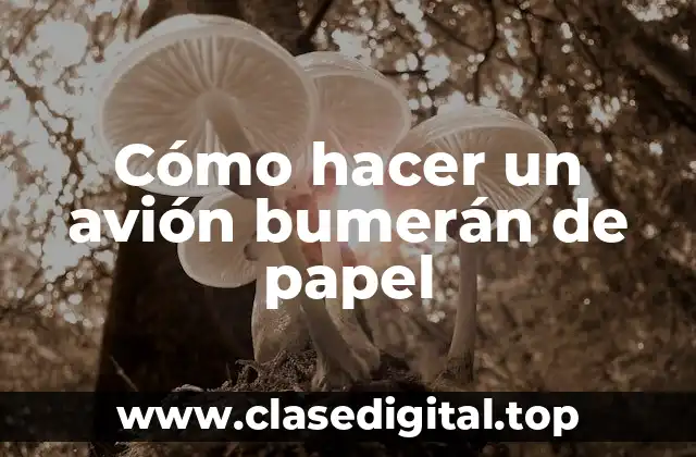 Cómo hacer un avión bumerán de papel