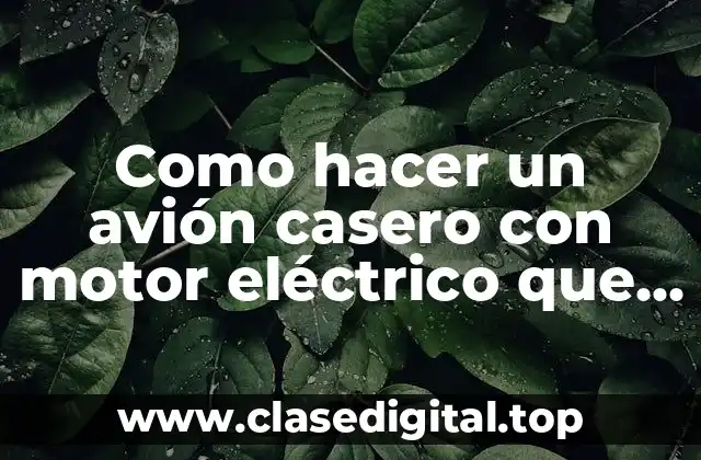 Como hacer un avión casero con motor eléctrico que vuele