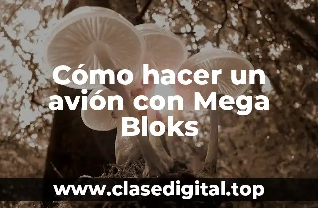 Cómo hacer un avión con Mega Bloks