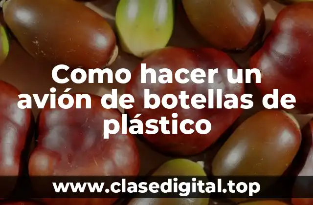 Como hacer un avión de botellas de plástico