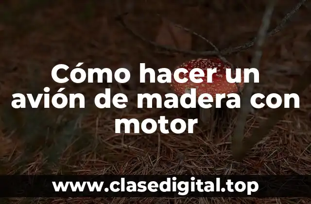 Cómo hacer un avión de madera con motor