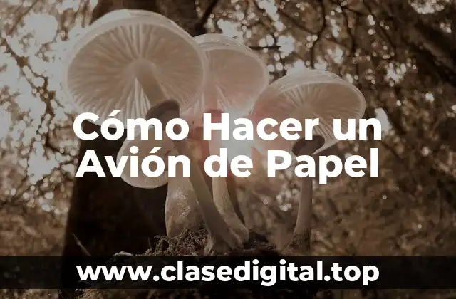 Materiales Necesarios para Hacer un Avión de Papel